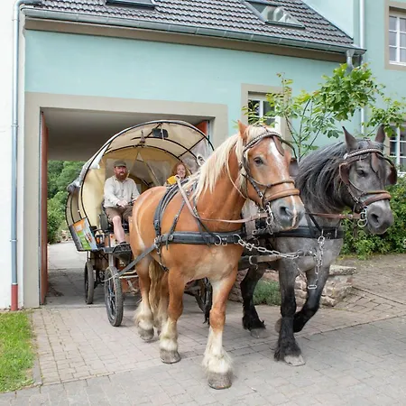 Ehrenpreis *