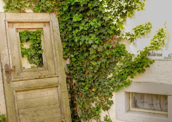 Ehrenpreis Wißmannsdorf